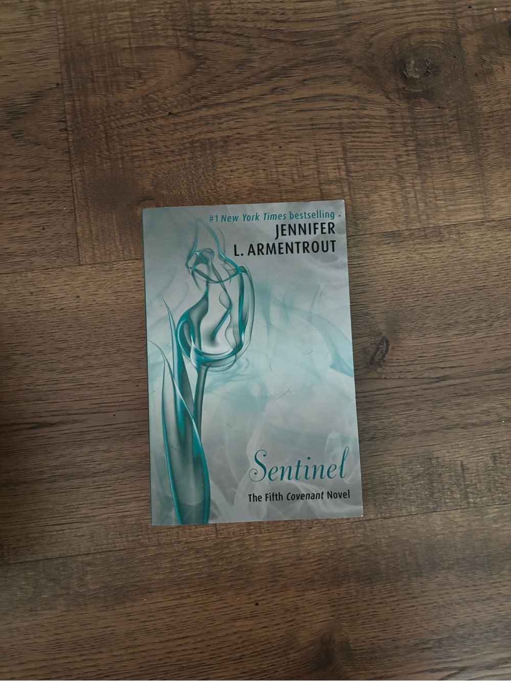Sentinel Paperback